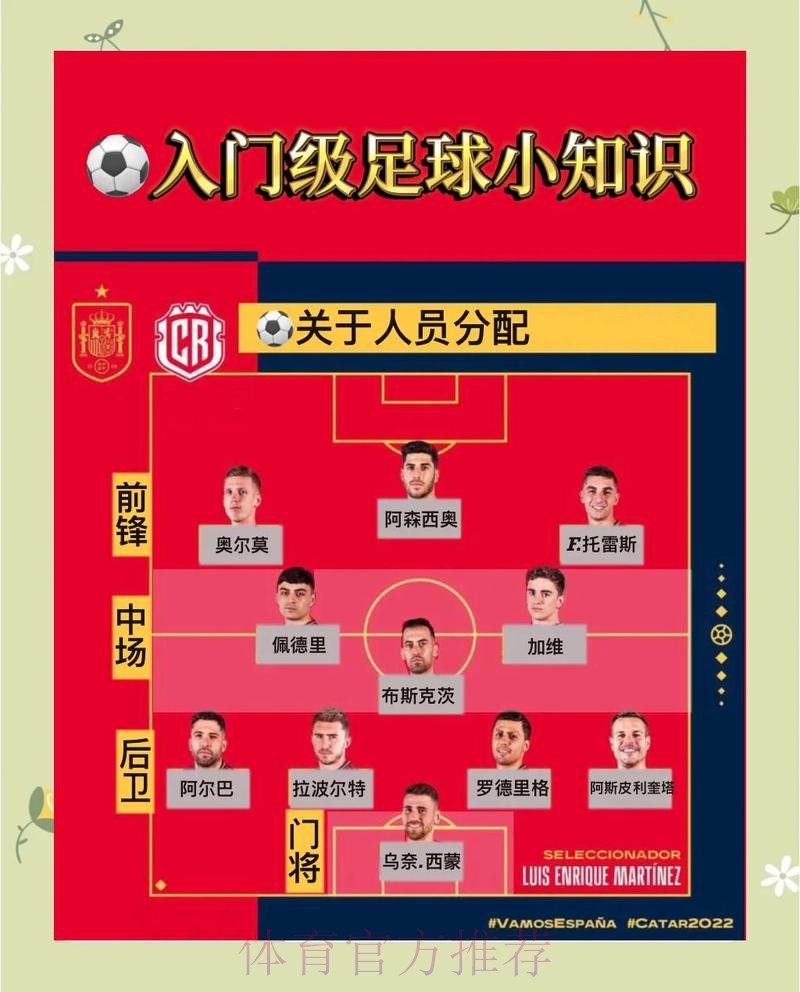 全面解析世界杯比分平台推荐及使用技巧